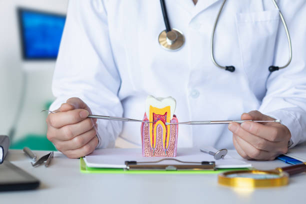 Best Emergency Root Canal Treatment in Portland, IN